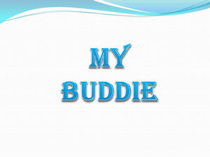  my-buddie.myshopify.com